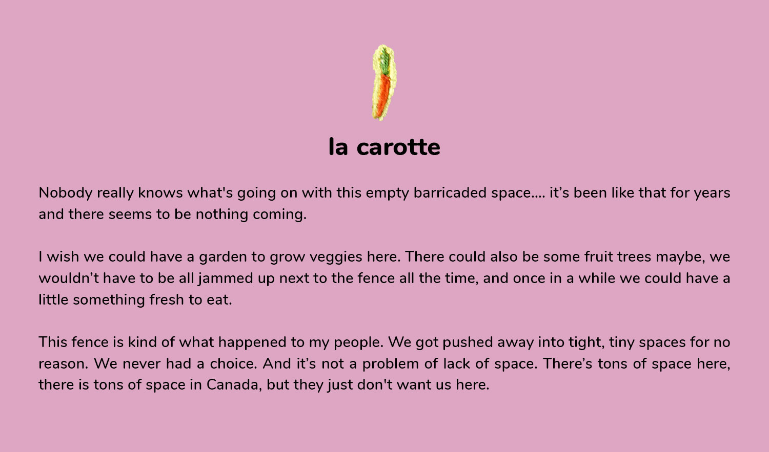 La carotte